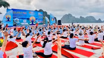 Ngày Quốc tế Yoga vì một Trái đất, một sức khỏe chung