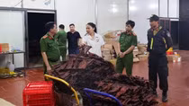 Nhập 1.000 tấn thịt đông lạnh để làm giả “đặc sản trâu gác bếp”, tiêu thụ khắp cả nước