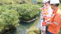 Năm thứ 4 liên tiếp Masan có tên trong Top 50 Doanh nghiệp phát triển bền vững