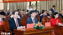 Nghị quyết chỉ định Chủ tịch, Phó Chủ tịch Hội đồng Nhân dân các tỉnh, thành phố