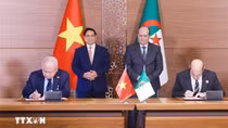 Triển khai các dự án, cụ thể hóa quan hệ Đối tác Chiến lược Việt Nam-Algeria