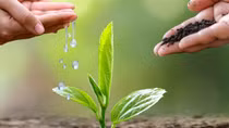 Phát động cuộc thi báo chí viết về bảo vệ môi trường ngành Công Thương 2025