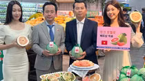 Trái bưởi Việt Nam chính thức có mặt trên kệ hàng Lotte Mart Hàn Quốc