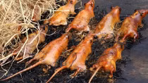 Nhớ… chuột