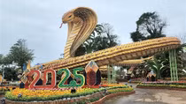 Linh vật rắn Phú Yên “Vươn ra biển lớn trong thời kỳ hội nhập”