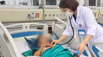 Bị viêm màng não nguy kịch do nhiễm loại nấm nguy hiểm
