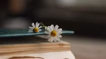 Bóng mình
