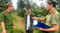 Bình yên cho mùa cà phê mới
