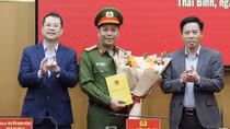 Giăng lưới bắt “cá mập”