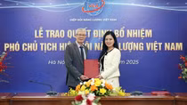 Lãnh đạo cấp cao T&T Group làm Phó Chủ tịch Hiệp hội Năng lượng Việt Nam