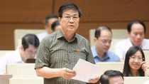Đề nghị có cơ chế hậu kiểm chặt chẽ, xử lý nghiêm việc vi phạm dán nhãn năng lượng tiết kiệm
