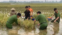 Hà Nội: Cho phép chỉ định thầu công trình chống lũ lụt cấp bách