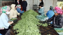 Từ ngày 1/7, nâng mức cho vay đối với cá nhân, hộ kinh doanh không có tài sản đảm bảo