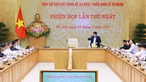 Phát triển kinh tế tư nhân thực sự là lực lượng nòng cốt trong quá trình phát triển đất nước