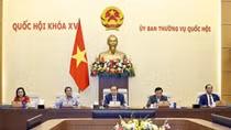 Phiên họp Ủy ban Thường vụ Quốc hội: Bổ sung cơ chế kiểm tra, đánh giá, bảo đảm chất lượng nhà ở xã hội