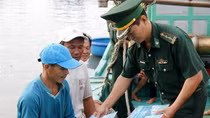 Khắc phục "thẻ vàng" IUU": Đồng Tháp quản lý chặt đội tàu khai thác
