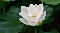 Tháng 5 em