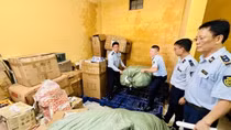 Thủ tướng phân công các Phó Thủ tướng chỉ đạo thực hiện những công việc cấp bách