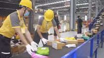 Nghiêm cấm doanh nghiệp bưu chính tiết lộ thông tin về người dùng dịch vụ