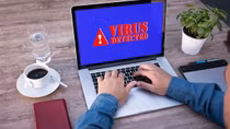 DetourDog - “Bóng ma” ẩn sau 30.000 trang web