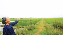 Có một bến đò C bên dòng Bến Hải…