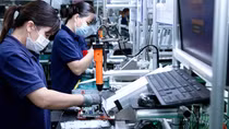 Xây dựng giải pháp thúc đẩy xuất khẩu thị trường Âu - Mỹ