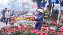 Đường xuân bốn mùa hoa
