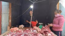 Giá lợn hơi tại Ninh Thuận, Đắk Lắk giảm nhẹ, nhiều địa phương giá lợn vẫn cao