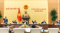 Nhất trí giảm 30% tiền thuê đất năm 2024 đối với người dân, doanh nghiệp
