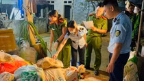 Phát hiện hơn 10 tấn nội tạng bò, trâu “bẩn” đang chờ “đẩy” ra thị trường