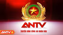 Lịch phát sóng ANTV ngày 26/11/2024