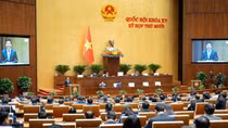 Người livestream bán hàng không được cung cấp thông tin gian dối hoặc gây nhầm lẫn