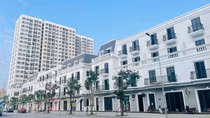 Vincom Shophouse Diamond Legacy: Nơi dòng tiền tìm thấy cơ hội sinh lời kép
