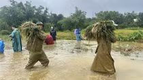 Hạn chế người dân ra đường trong thời gian bão đổ bộ và mưa lũ lớn