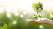 Viết tiếp về hạnh phúc...