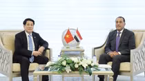 Việt Nam luôn coi trọng phát triển mối quan hệ với Ai Cập