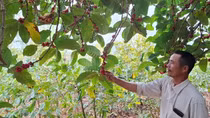 Thắp lửa ở vùng rừng lạnh