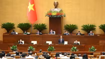 "Ngày không còn bạo lực học đường là ngày người lớn không còn đánh nhau nữa"