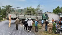 Tài xế xe tải tông nhà dân khiến 2 cháu nhỏ thương vong vừa bị khởi tố về tội đánh bạc