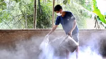 Thủ tướng chỉ đạo triển khai quyết liệt phòng chống dịch tả lợn châu Phi
