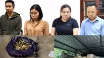 Bóc gỡ đường dây kinh doanh đa cấp xuyên biên giới quy mô hàng nghìn tỷ đồng
