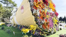 Hoa trên thành phố ngàn hoa