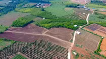 Đề xuất giảm 30% tiền thuê đất năm 2025