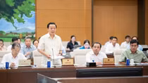 Băn khoăn việc đấu giá khoáng sản bị đẩy lên rất cao nhưng vẫn bị trục lợi