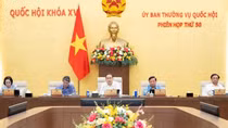 Cái gì khó khăn, vướng mắc với người dân, doanh nghiệp thì phải tháo gỡ