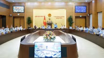 Lựa chọn Chủ tịch UBND xã phải rất kỹ lưỡng, chưa chắc cán bộ tỉnh xuống đã làm được