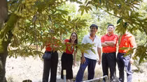 Agribank tiếp sức, thầy giáo bén duyên với nông nghiệp công nghệ cao