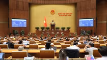 Nước trái cây tự nhiên, sản phẩm từ sữa không phải chịu thuế tiêu thụ đặc biệt