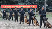 Phát huy vai trò của động vật nghiệp vụ trong đấu tranh phòng, chống tội phạm, tìm kiếm cứu nạn
