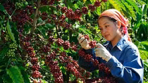 Doanh nghiệp tăng tốc đầu tư xanh để giảm phát thải